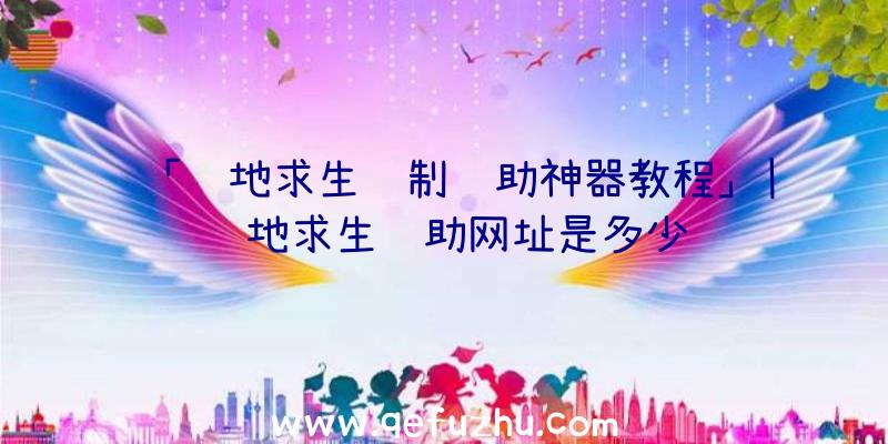 「绝地求生纸制辅助神器教程」|绝地求生辅助网址是多少